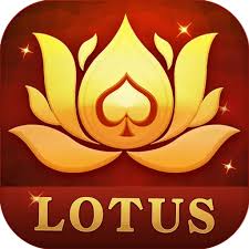 rummy best support download